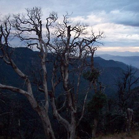 Kausani Best Inn Kültér fotó