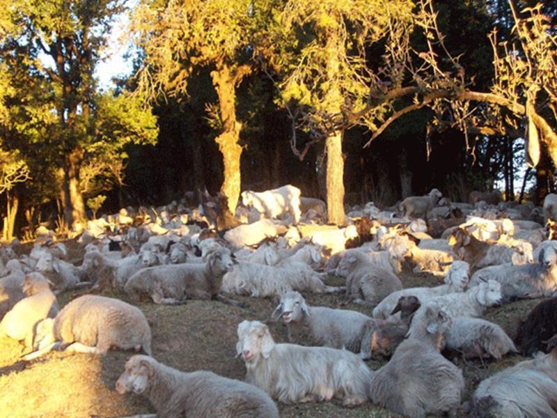 Kausani Best Inn Kültér fotó